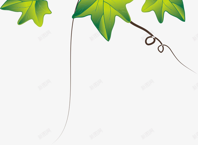 栀子花树藤png免抠素材_88icon https://88icon.com 栀子花 树藤 植物 绿叶