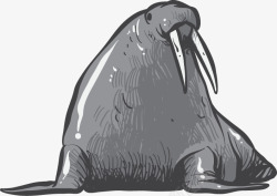 卡通手绘海豹动物素材