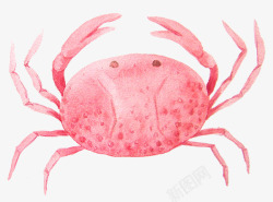 手绘卡通粉色可爱螃蟹素材