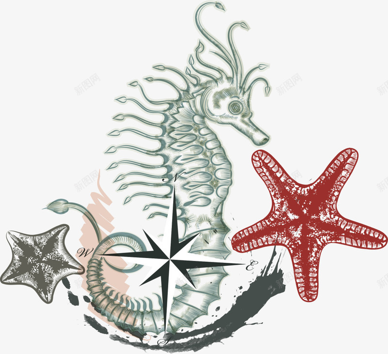 海洋生物海星海马png免抠素材_88icon https://88icon.com 手绘 水彩 海洋生物 红色海星 绘画 绿色海马