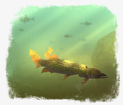 手绘撕边效果海洋鱼背景图案素材