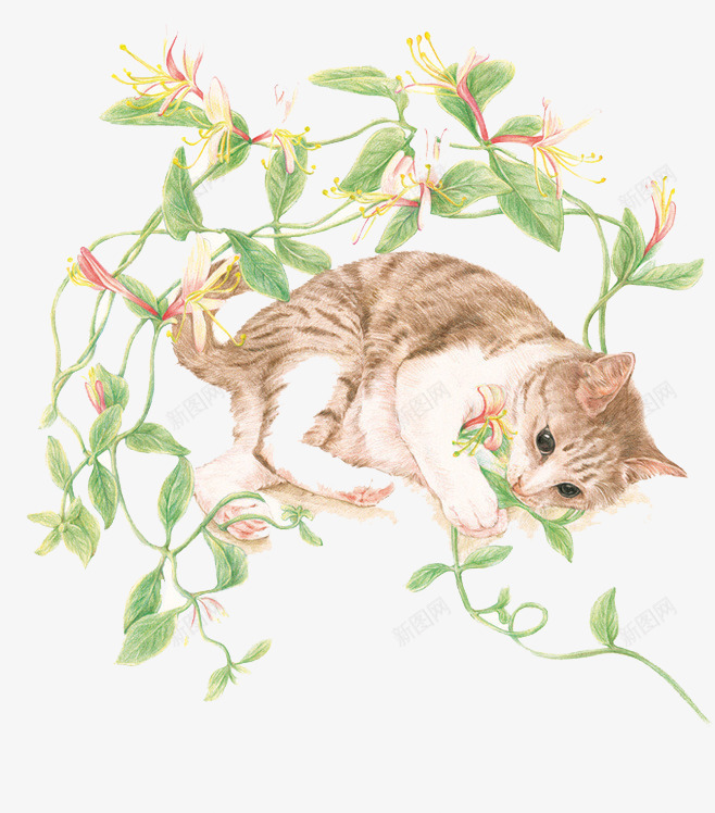 猫png免抠素材_88icon https://88icon.com 手绘 植物 清新 猫 蔓藤 藤条 鲜花