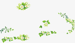 清新绿色藤蔓花朵素材
