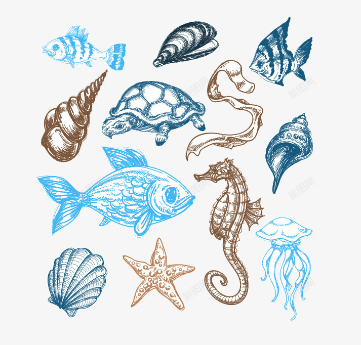 海洋动物png免抠素材_88icon https://88icon.com 手绘海星 水母 河蚌 海马 海龟 鱼