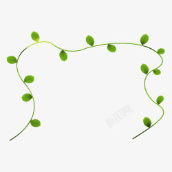 绿叶条藤蔓装饰图案素材