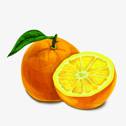 手绘柳橙手绘柳橙高清图片