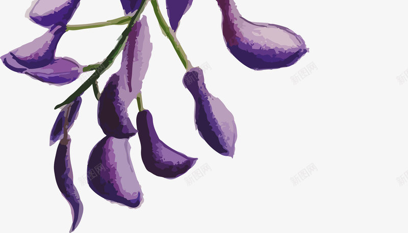 彩铅紫藤png免抠素材_88icon https://88icon.com 彩铅 手绘 手绘紫藤 植物 独枝 紫色 紫藤 花朵