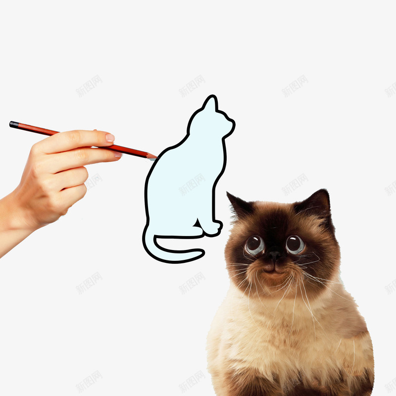 手绘小猫猫咪png免抠素材_88icon https://88icon.com 书画比赛 作画 创意 勾勒 手绘 描绘 涂抹 画图 画画 素描 纸笔 绘出 绘图 绘画 色彩应用