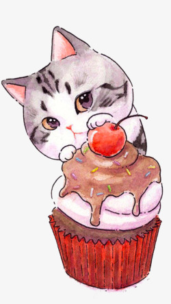 猫吃猫草吃蛋糕的猫高清图片