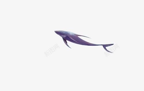 蓝色海洋遨游鲸鱼png免抠素材_88icon https://88icon.com 海洋 蓝色 遨游 鲸鱼