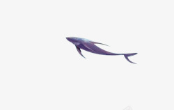 蓝色海洋遨游鲸鱼素材
