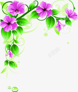 紫色鲜花植物花藤素材