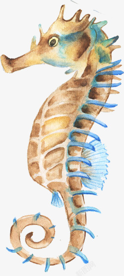 手绘卡通海洋生物海马素材