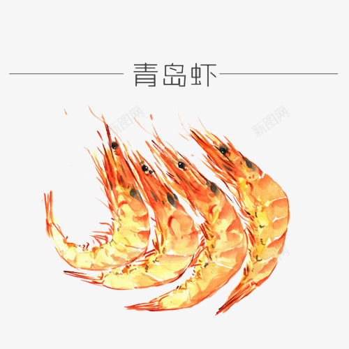 青岛大虾手绘画片png免抠素材_88icon https://88icon.com 大虾 手绘色彩 海鲜 红色 虾子 青岛大虾