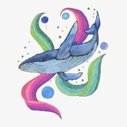 手绘蓝色座头鲸和海藻插画素材