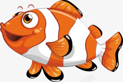 橘色白色条纹热带鱼素材
