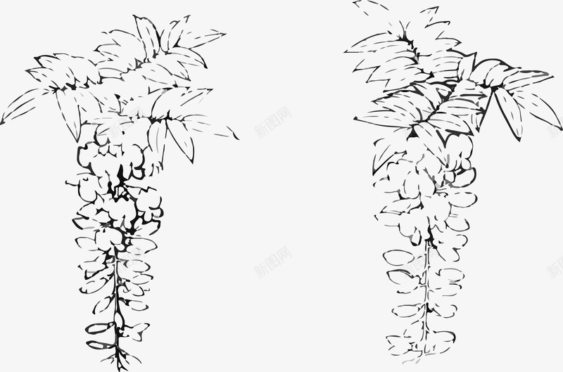 花纹紫藤png免抠素材_88icon https://88icon.com 手绘紫藤 树叶 植物 白描 紫藤 花朵 花纹 花边 黑色