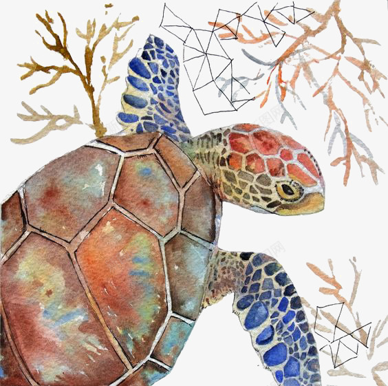 水彩海龟png免抠素材_88icon https://88icon.com 卡通 手绘 插画 海洋 海龟