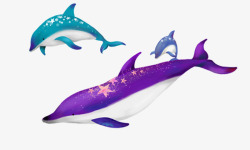 海豚鲸鱼素材