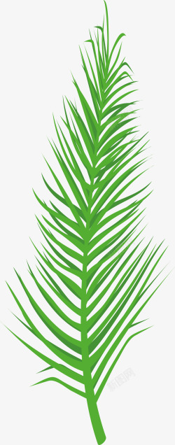 绿色棕榈叶植物图素材