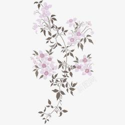 淡紫色清新花藤装饰图案素材