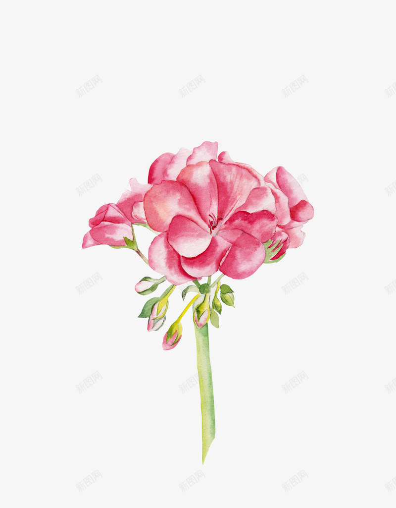 手绘唯美红色花朵花瓣png免抠素材_88icon https://88icon.com 包装设计 小清新包装 布料印花 花朵 花朵装饰 花瓣 花瓣装饰 花草设计 贺卡设计