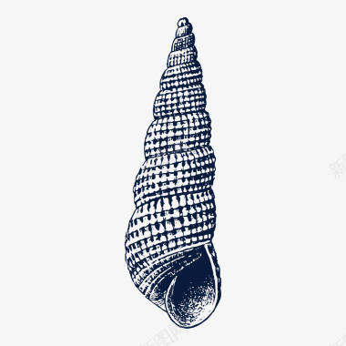 新年装饰插画手绘黑色小海螺贝壳图标图标