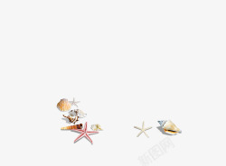 海星贝壳素材
