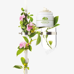 植物藤蔓化妆品素材