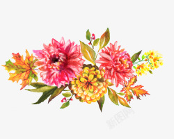 手绘彩色花卉花朵素材
