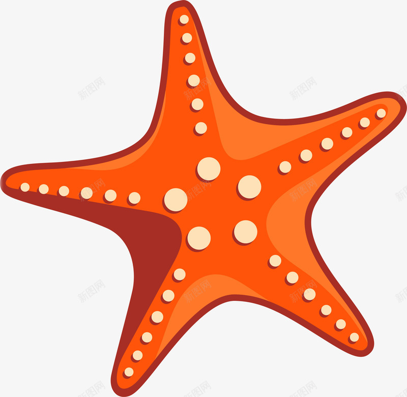 手绘创意橘色海星图png免抠素材_88icon https://88icon.com 创意 动物 卡通手绘 圆形 橘色 水彩 海星 海洋生物