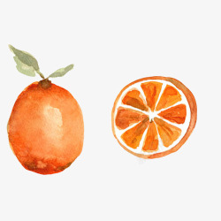 橙子水彩画片素材