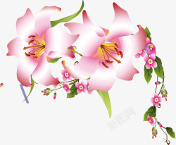 手绘粉色花朵花藤素材