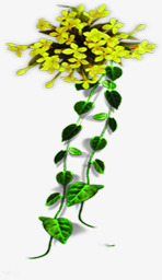 黄绿色清新藤蔓植物素材