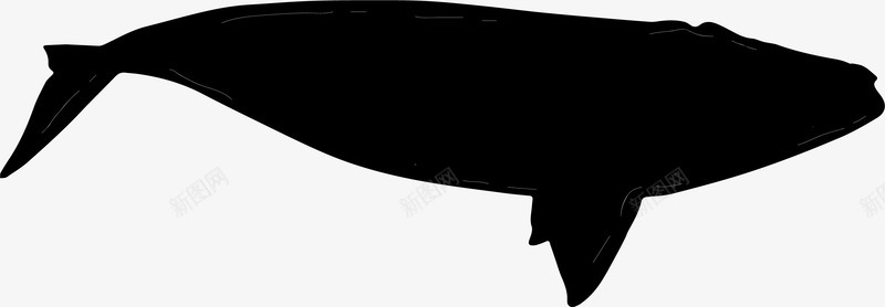 海里哺乳动物大白鲸游玩矢量图图标图标
