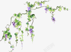 手绘清新紫色花藤蔓素材