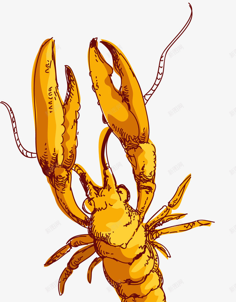 海洋动物龙虾矢量图eps免抠素材_88icon https://88icon.com 动物 卡通 海洋动物 海洋动物龙虾矢量图 海鲜 食材 龙虾 矢量图