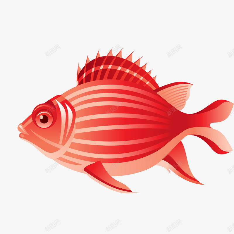 红色的鱼类动物png免抠素材_88icon https://88icon.com 动物设计 卡通 小鱼 水族馆 海洋 热带鱼 红色
