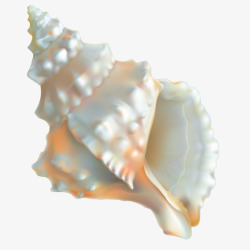 海洋生物海螺矢量图素材