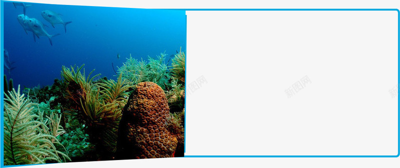 视觉海洋蓝色边框png免抠素材_88icon https://88icon.com 蓝色边框 视觉海洋 视觉海洋蓝色边框