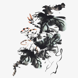 中国风水墨牵牛花素材