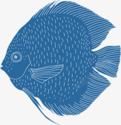 卡通海洋生物鱼文艺风海报素材