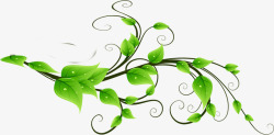绿色清爽树叶美景装饰节日花藤素材