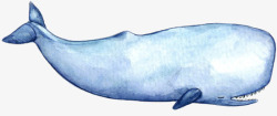 手绘海洋大型动物抹香鲸素材
