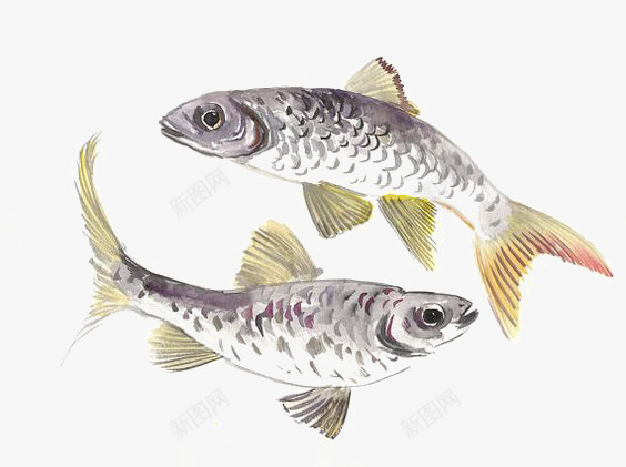 沙丁鱼png免抠素材_88icon https://88icon.com 卡通下雨 手绘下雨 沙丁鱼 海洋 鱼群