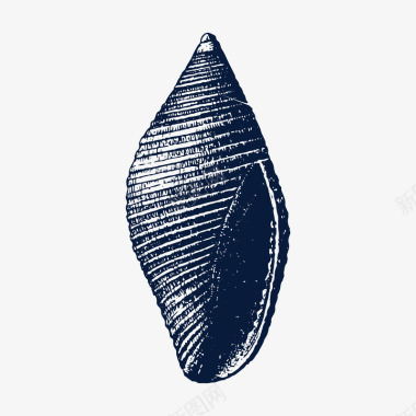 海鲜虾丸黑色海螺贝壳装饰图标图标