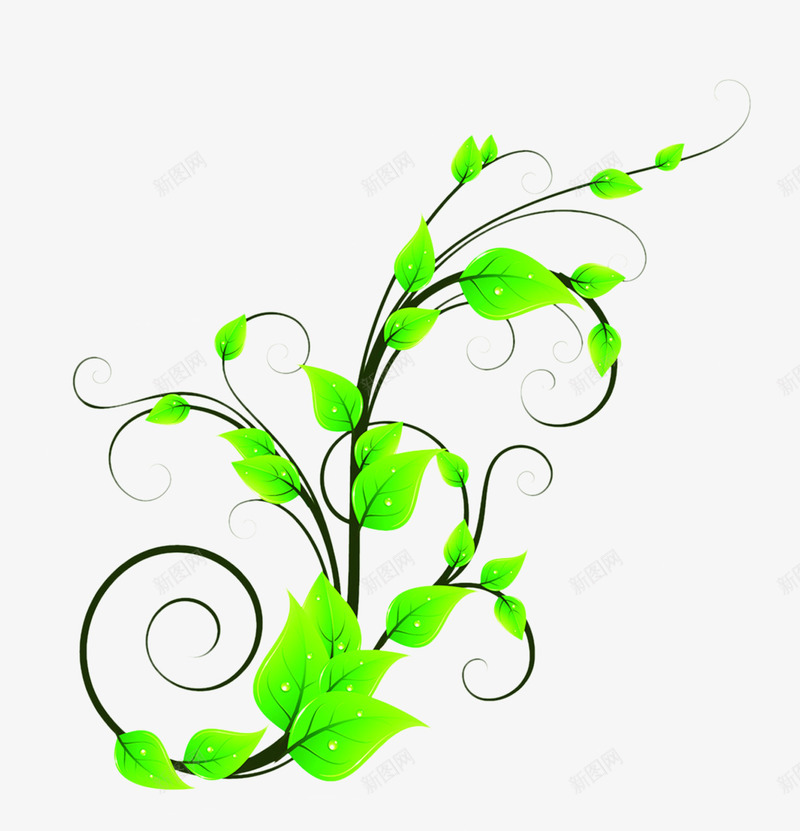 黑色藤蔓绿叶装饰png免抠素材_88icon https://88icon.com 绿叶 藤蔓 装饰 黑色