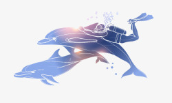 海豚和潜水员素材
