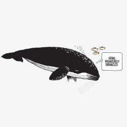 手绘一只黑色座头鲸保护海洋生物素材
