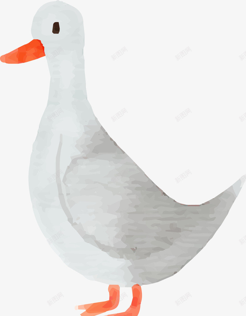 手绘可爱白色鸭子png免抠素材_88icon https://88icon.com 可爱鸭子 手绘鸭子 水彩动物 水彩鸭子 白色鸭子 绘画